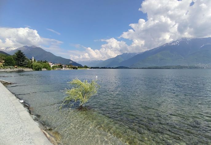 Bild 9