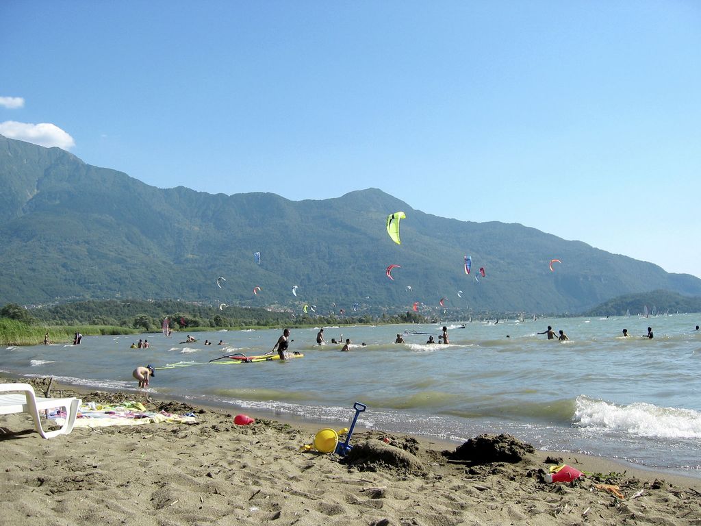 Olivo