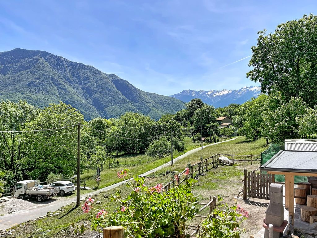 Olivo