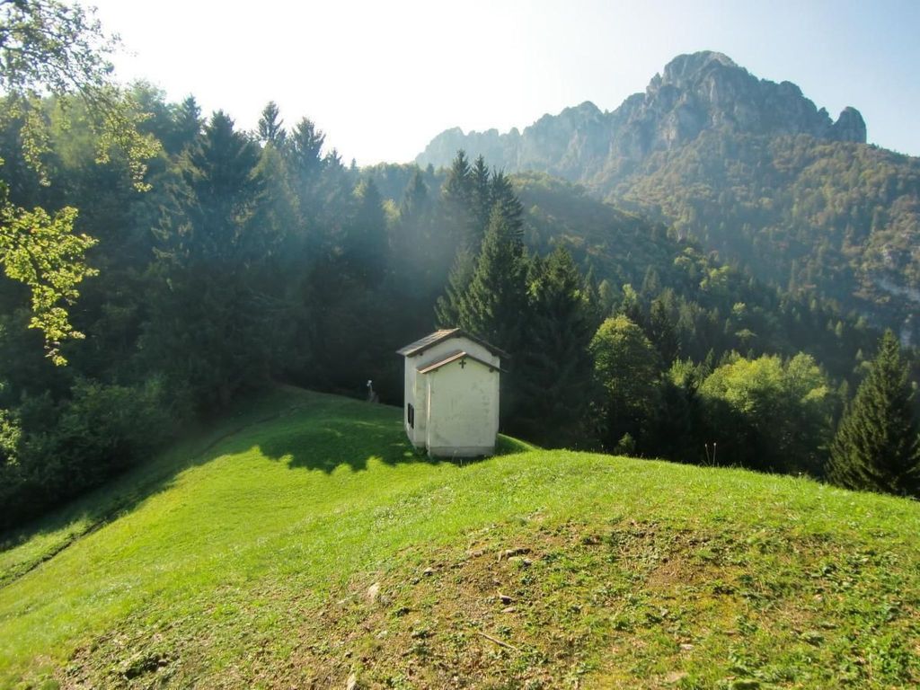 Sehr geräumige Wohnung inmitten der Natur