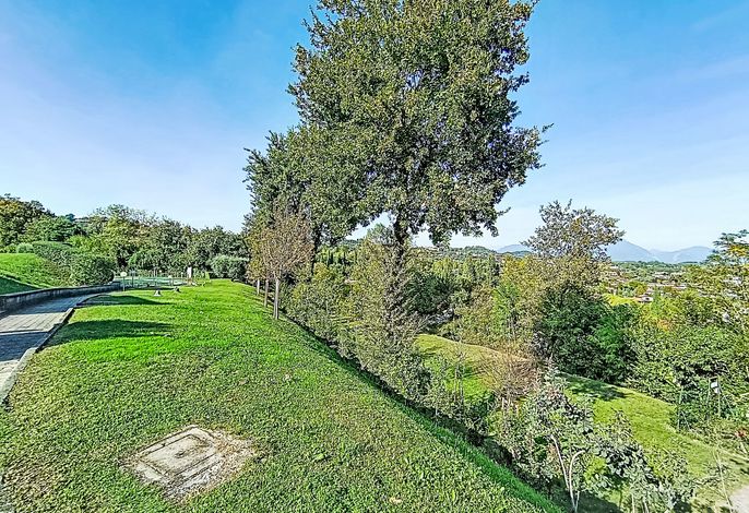 Bild 15