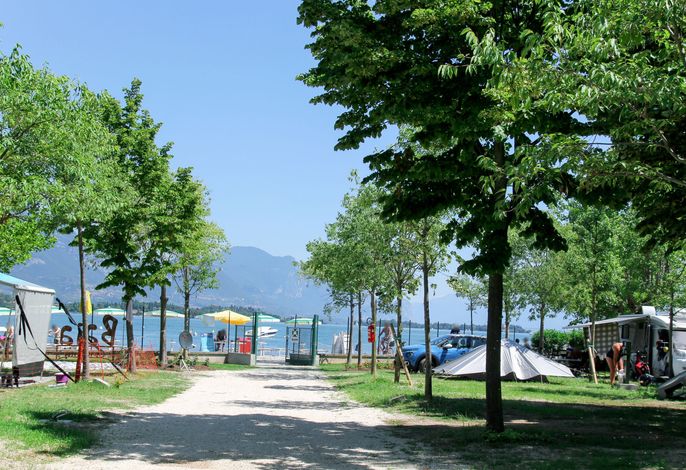 Bild 20