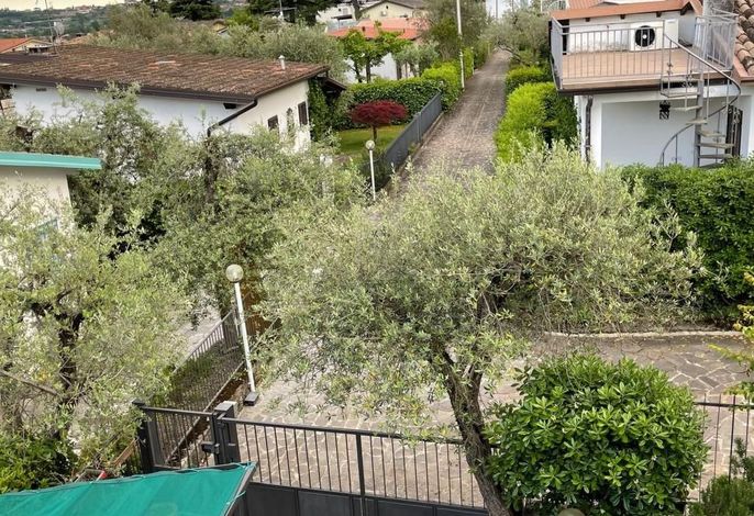 Bild 9