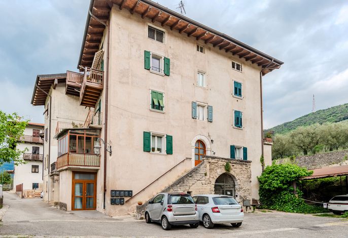 Tra gli Ulivi