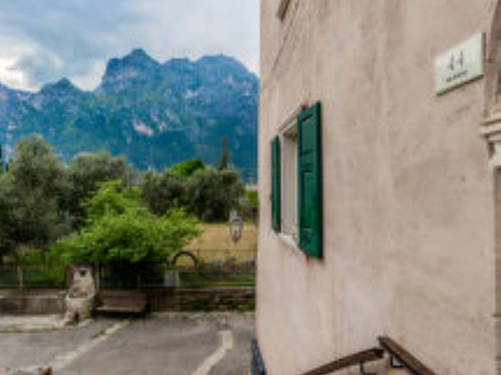 Tra gli Ulivi