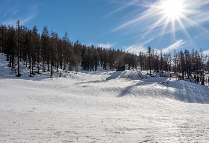 Bild 12