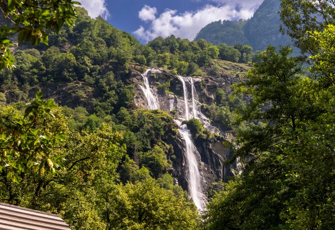 Bild 9