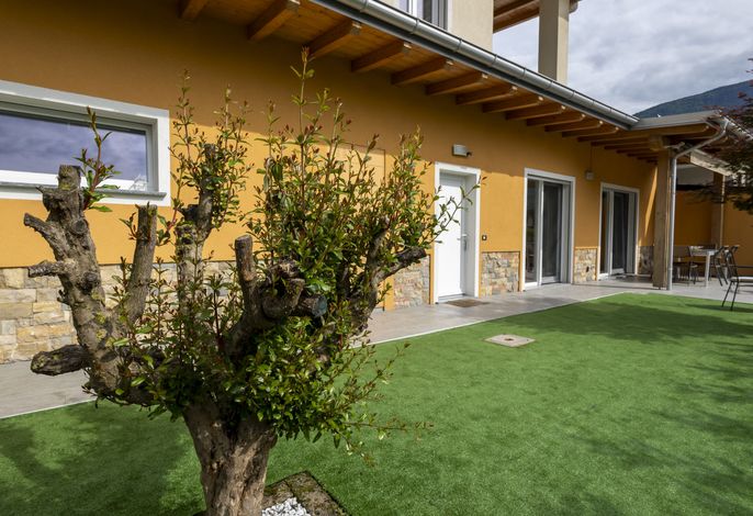 Bild 5