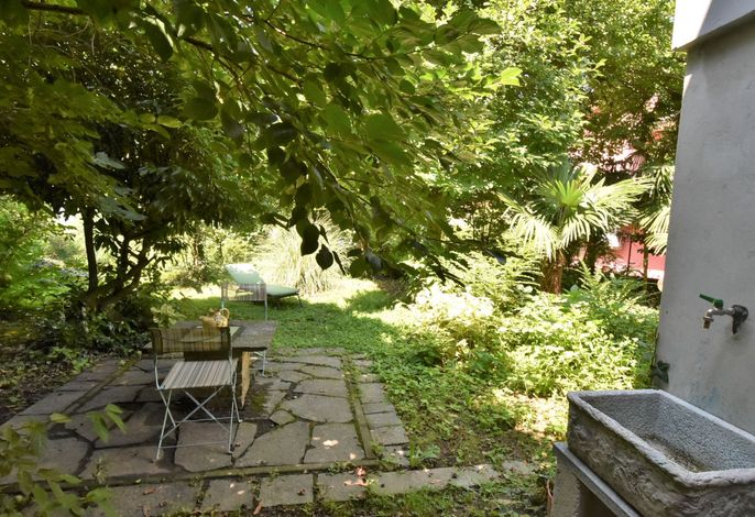 Bild 15