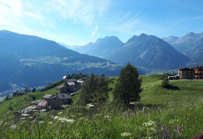 Bild 21