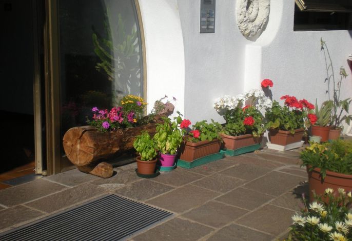 Bild 11