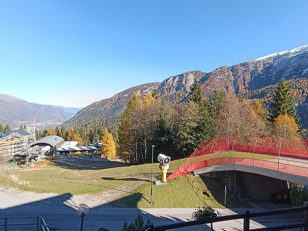 Le Campanule