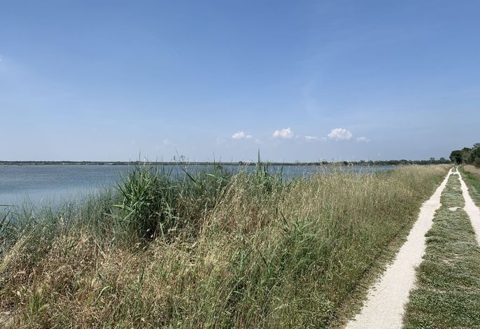 Bild 17