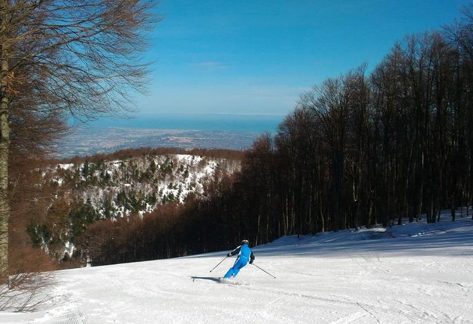 Bild 14