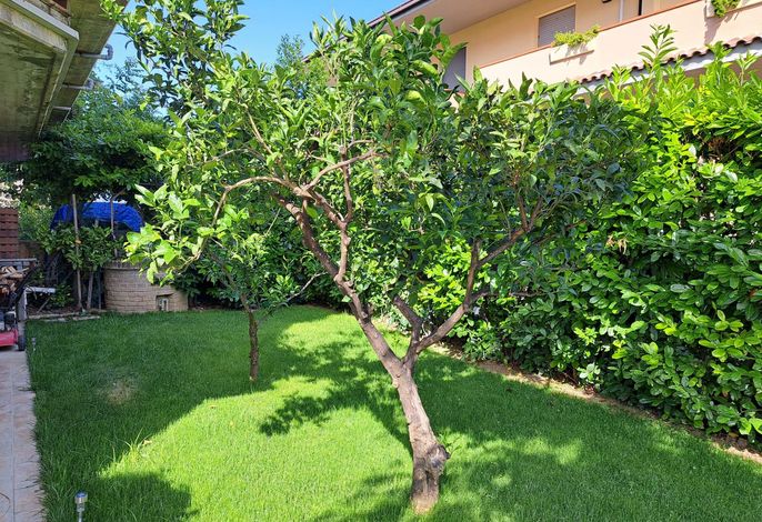 Bild 12