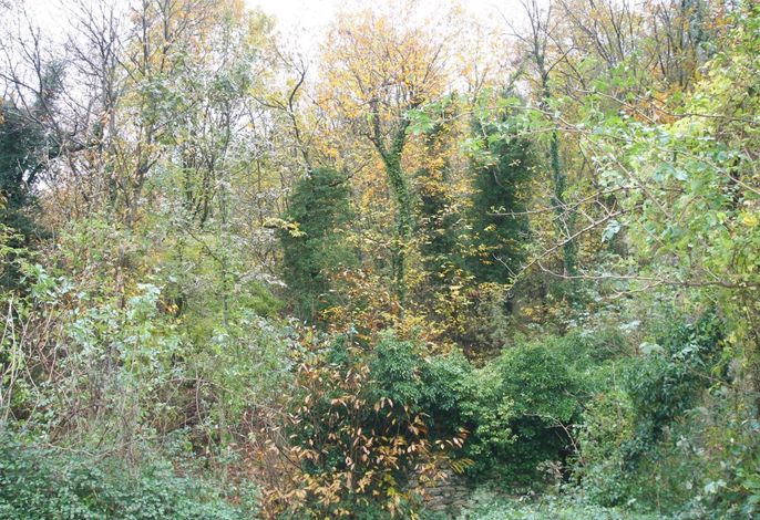 für 3 Personen ca. 37 m&sup2- in Lumarzo, Norditalien (Ligurien)