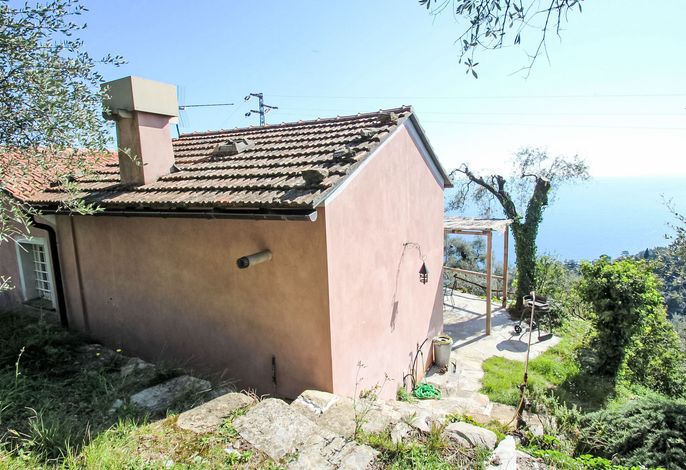 Bild 14