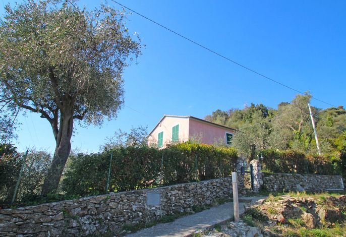 Bild 13