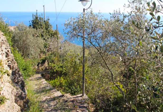 Bild 16