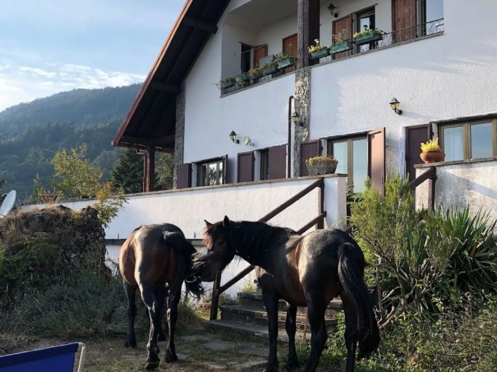 La Perla dell'ALta Via Wohnung mit Park