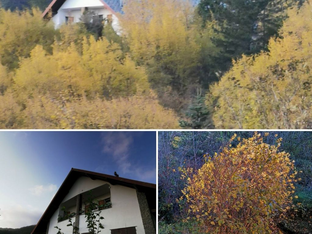 Natur und Entspannung, Villa im Park