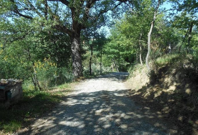 Bild 15