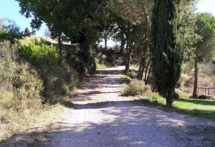 Bild 24