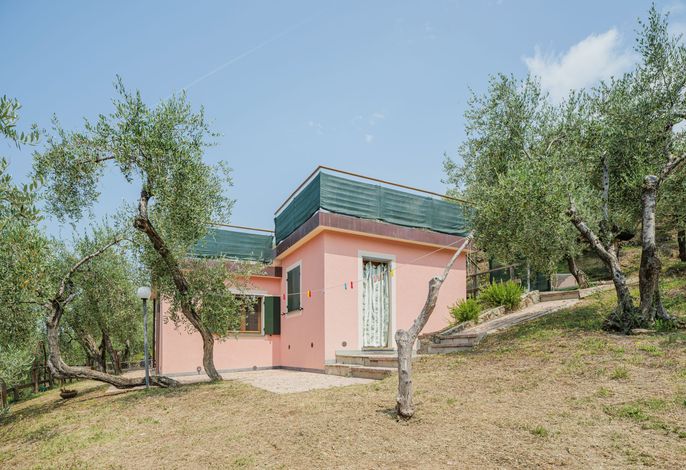 Bild 8