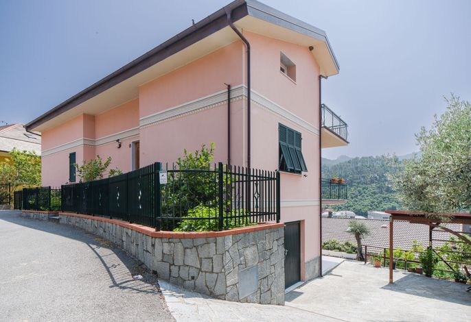 Il Caprifoglio