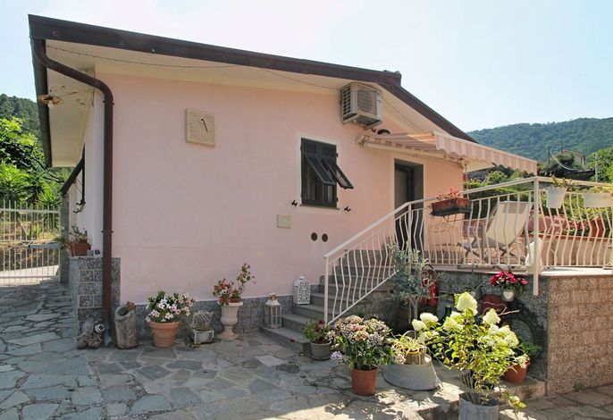 Bild 12