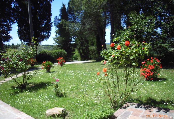 Bild 11