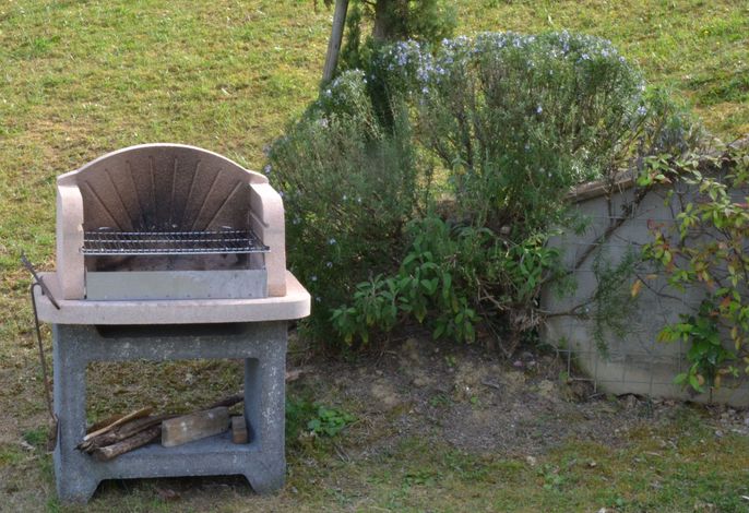 Bild 15
