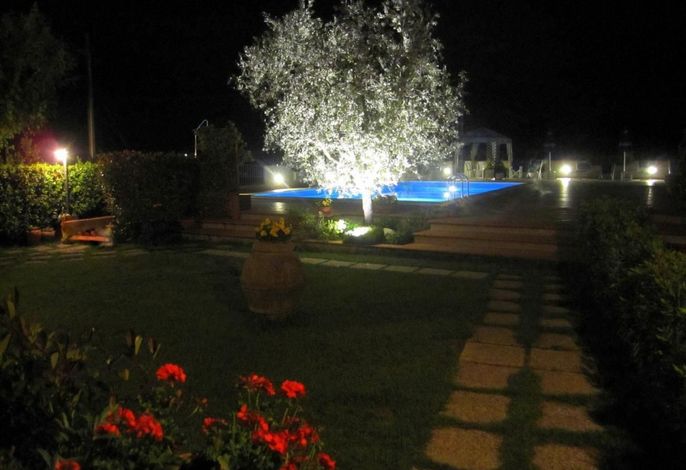 Bild 8