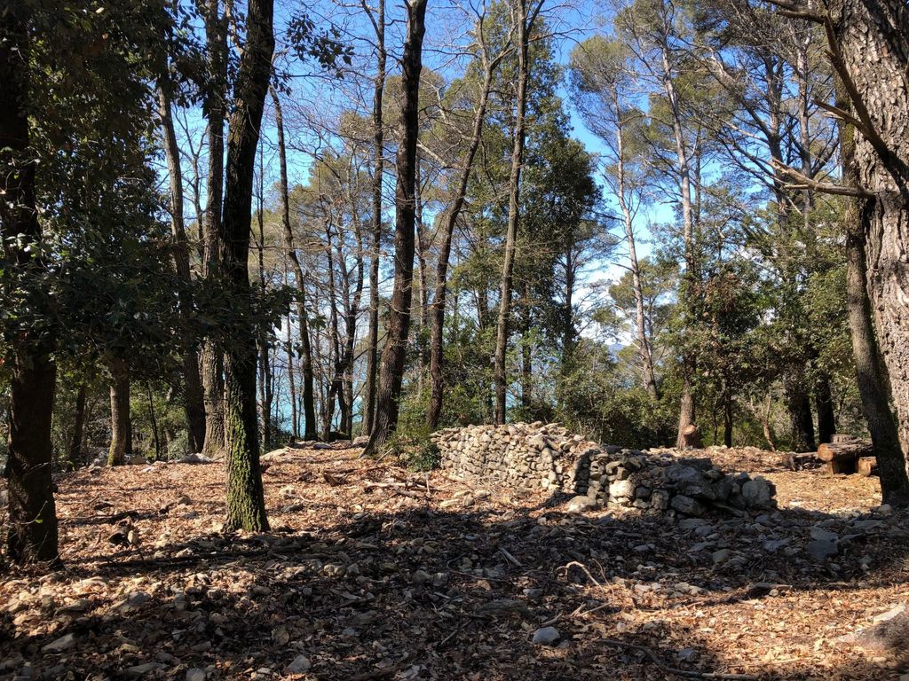 Mago in Ameglia
