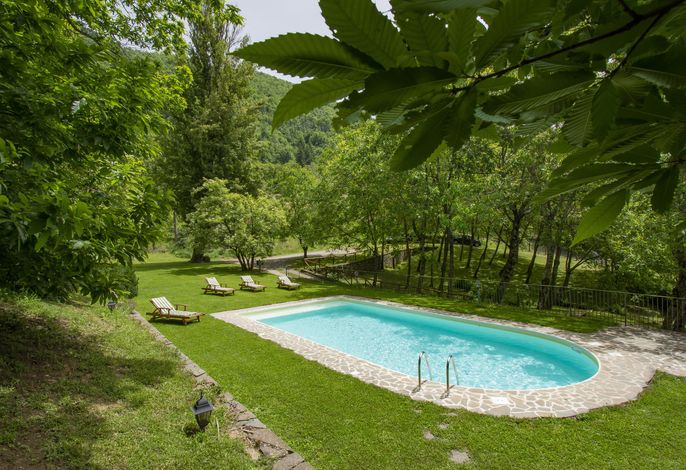 Bild 8