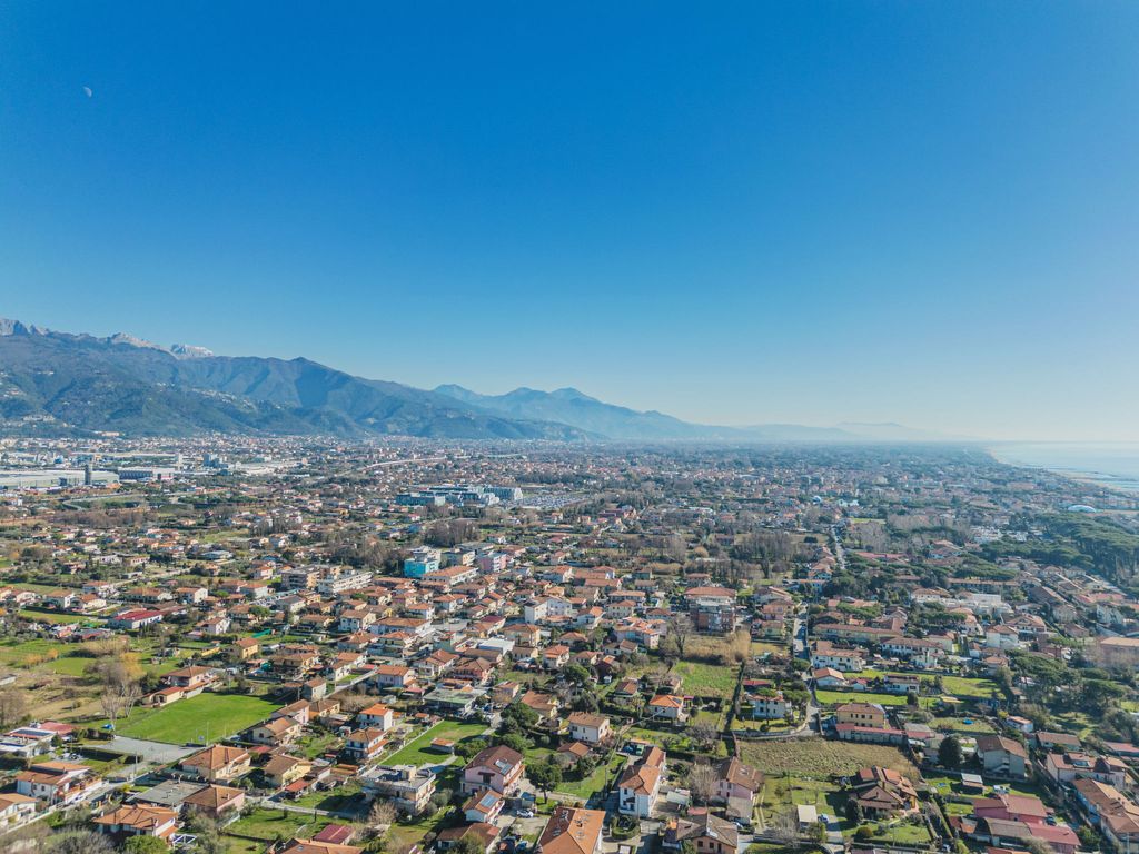 Colli