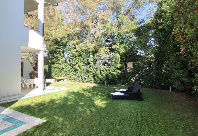 Bild 19