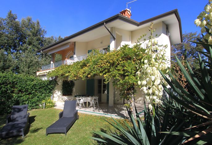 Bild 11
