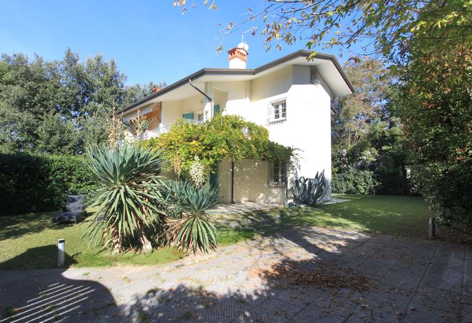 Bild 15