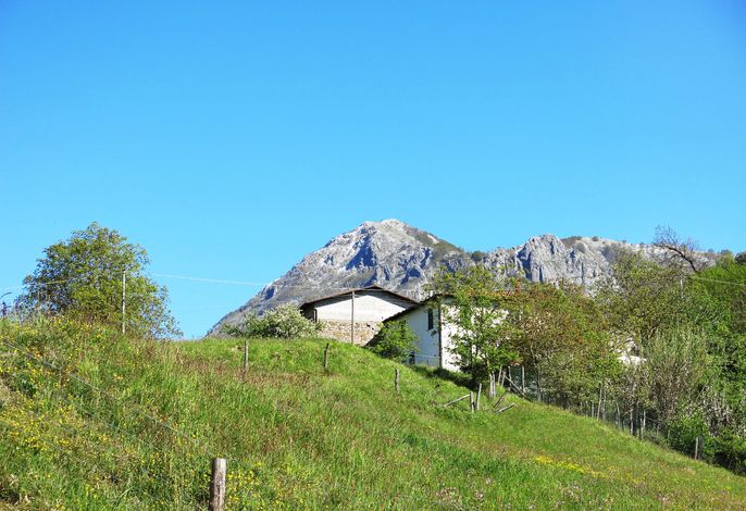 Bild 17