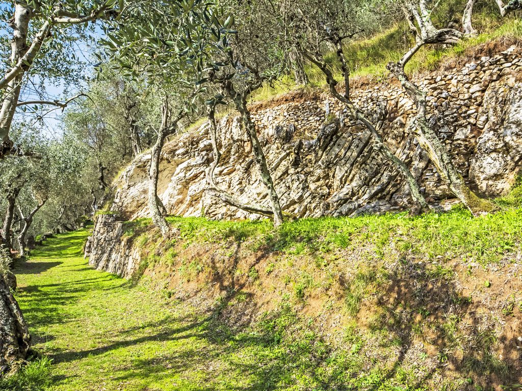 La Capannella