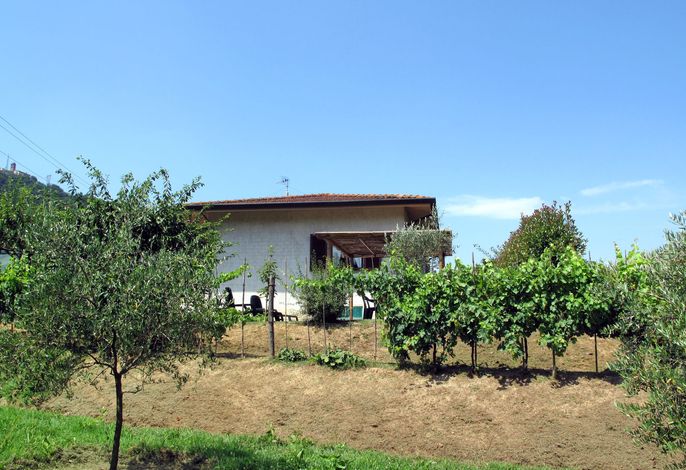 Bild 12
