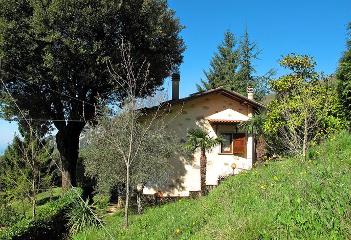 Bild 11