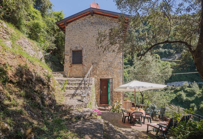 L'Oliveto