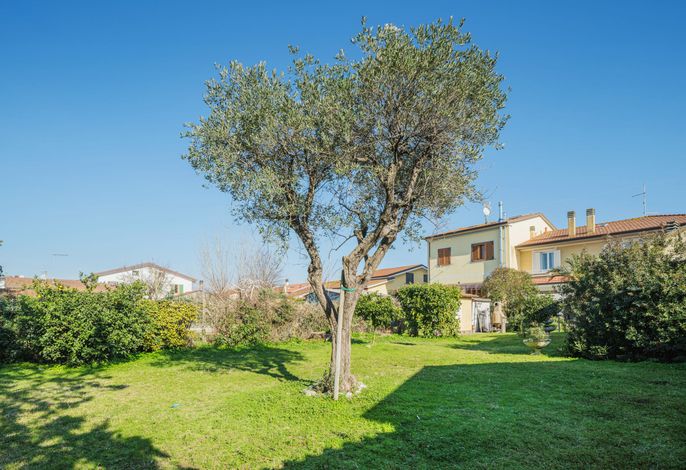 La casa dei limoni di Valeria – Foto 5