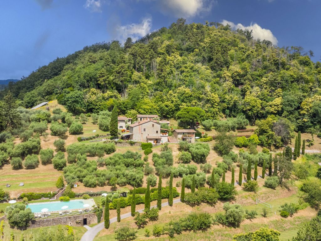 La Cupola: Tulipano
