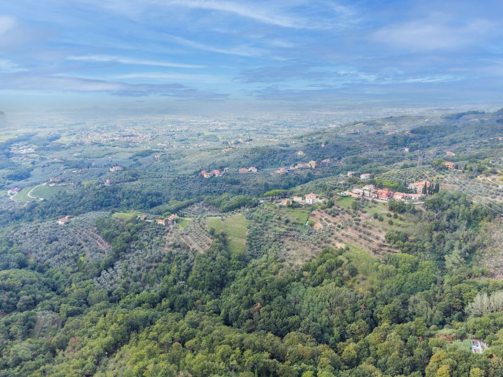 Fiordaliso