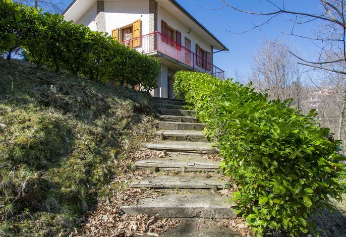Bild 15