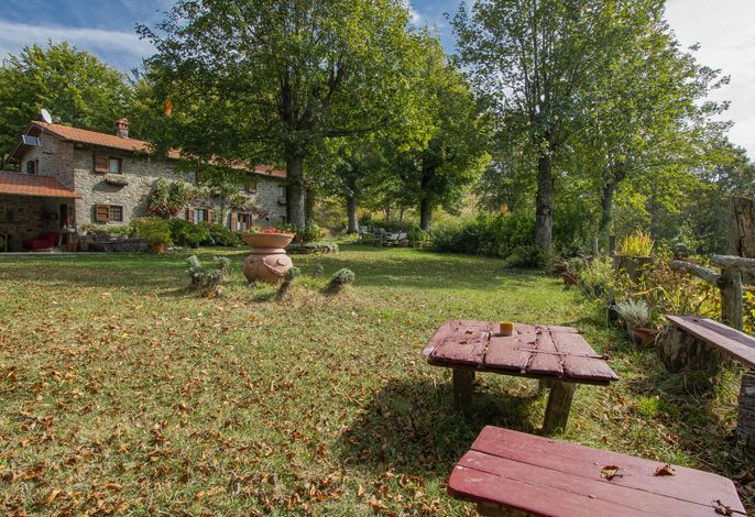 Bild 12