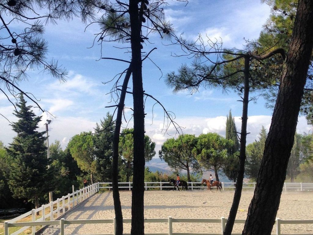 Wohnung "Villa Famiglia3" mit Pool